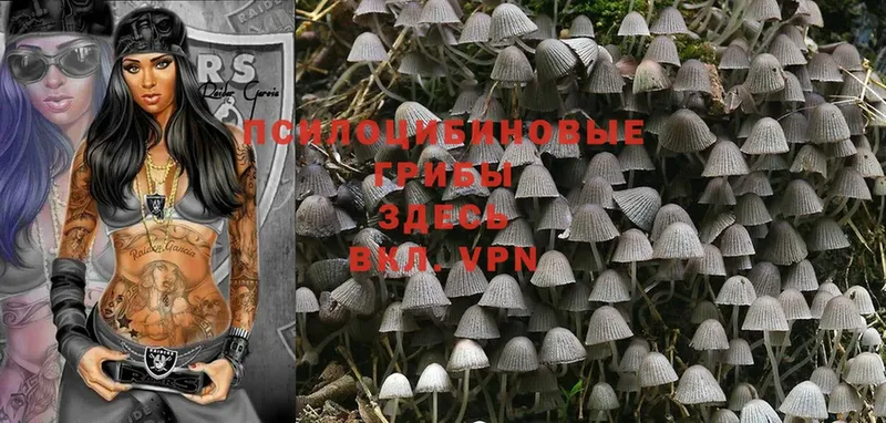 Галлюциногенные грибы Magic Shrooms  ссылка на мегу ссылки  Бородино 